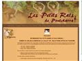 Les petits rats de Pontcharra