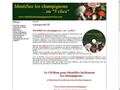Détails : Identifiez les champignons