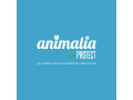 Détails : ANIMALIA PROTECT - Courtier assurance chien, assurance chat, animaux