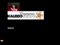 Détails : cie kaleidoscope