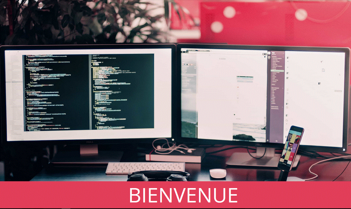 Détails : Développeur site web grenoble