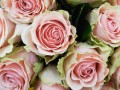 Détails : SEL des 3 roses