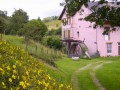 Détails : Le moulin rose
