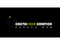 Détails : Cactus Noir Creation - Création de site internet à Grenoble