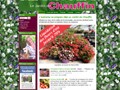 Détails : Le Jardin de Chauffin