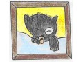 Détails : les Aventures de SCOTCH LE CHAT