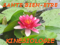 Aper�u de : Sant� Bien Etre et Kin�siologie Grenoble