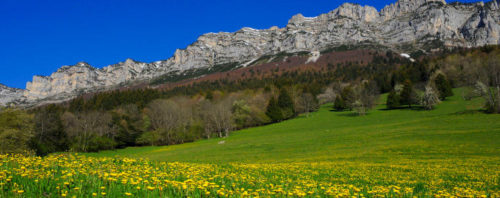 Plateau Des Petites Roches