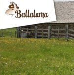 Ballalama – ferme pédagogique et élevage de lamas