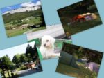 Camping La Porte Saint-Martin (Vercors)