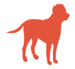 Club Canin Sous le Massif Vercusien