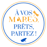 A vos mares, prêts, partez !