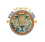 FEMOCA – Festives Musiques Originaires du Continent Africain