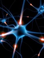 Neurocercle – Découvrir les neurosciences à Grenoble