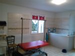 Toutou Baigne – Salon de toilettage canin