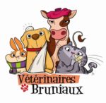 Clinique vétérinaire des Bruniaux aux Abrets