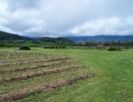 Le Jardin des Soubeyrannes à Lavars