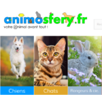 Animosfery à Sassenage