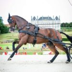 Ecuries de Pierre-Brune / Jean-Michel Olive