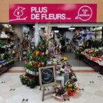 Plus de fleurs – fleuriste à Chatte