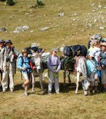 L&rsquo;âne voyageur