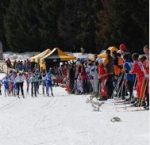 Chartreuse ski de fond