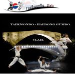 Taekwando Claix