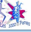 1000pattes triathlon Grenoble