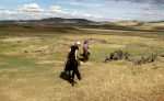 Rando Cheval Mongolie