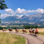 Alpes Cheval, randonnée équestre Vercors