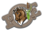 Poney Club de l’Etang – Une école d’équitation pour tous